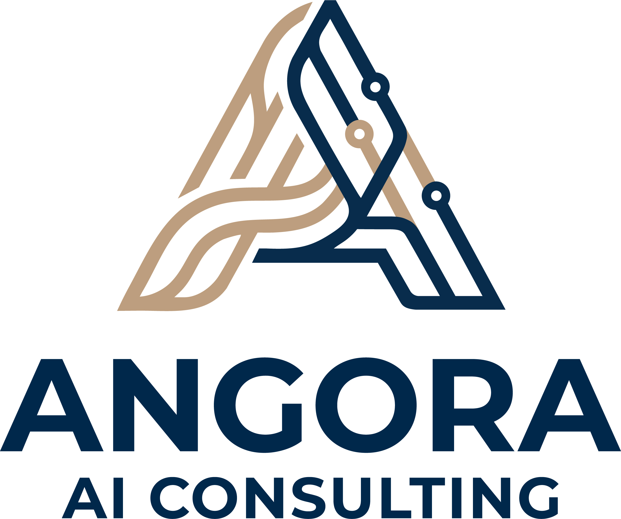 Angora AI Consulting